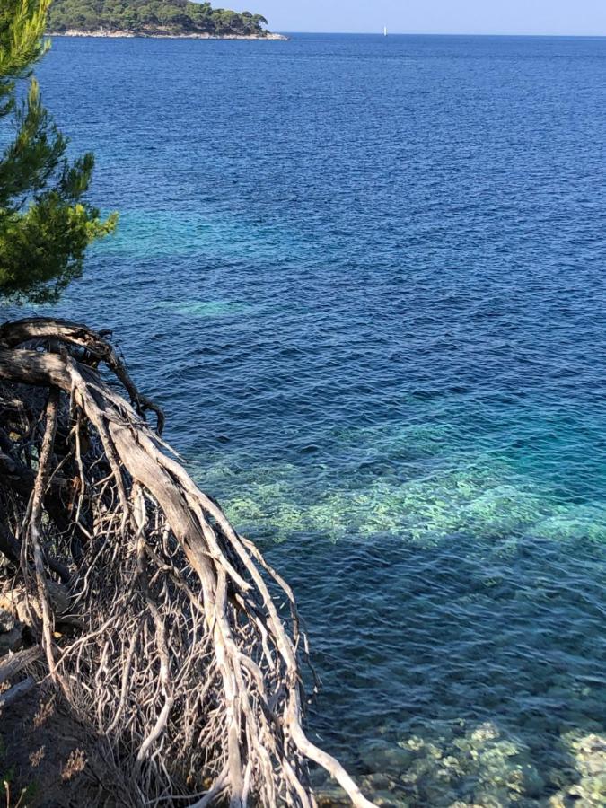 Villa Iva Lastovo Uble 外观 照片