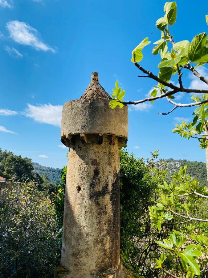 Villa Iva Lastovo Uble 外观 照片