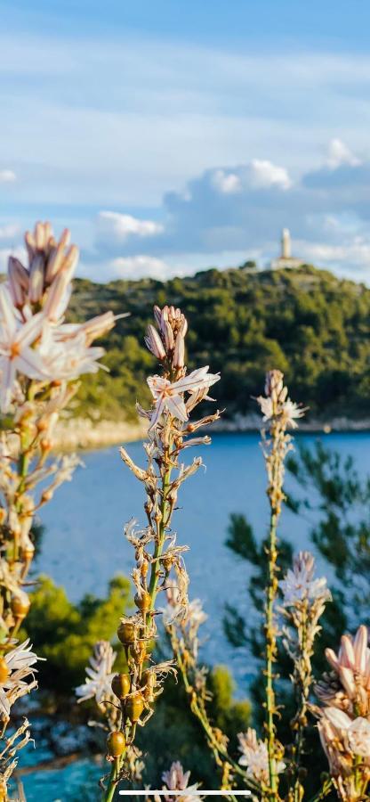 Villa Iva Lastovo Uble 外观 照片