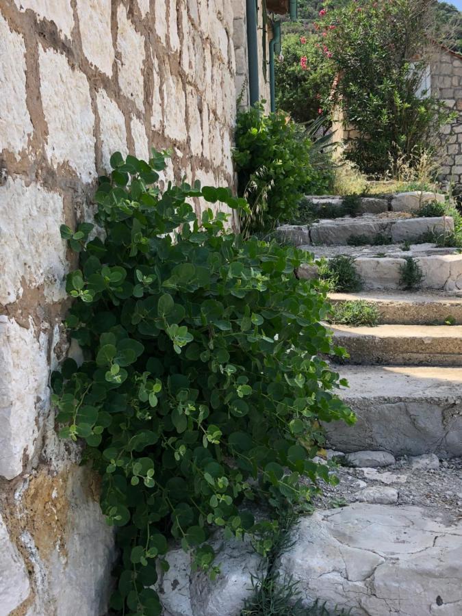 Villa Iva Lastovo Uble 外观 照片